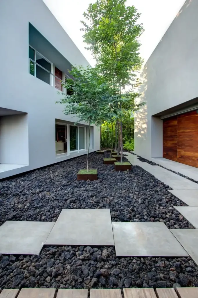 Contemporary courtyard with trees, stone pathway, and minimalist design.